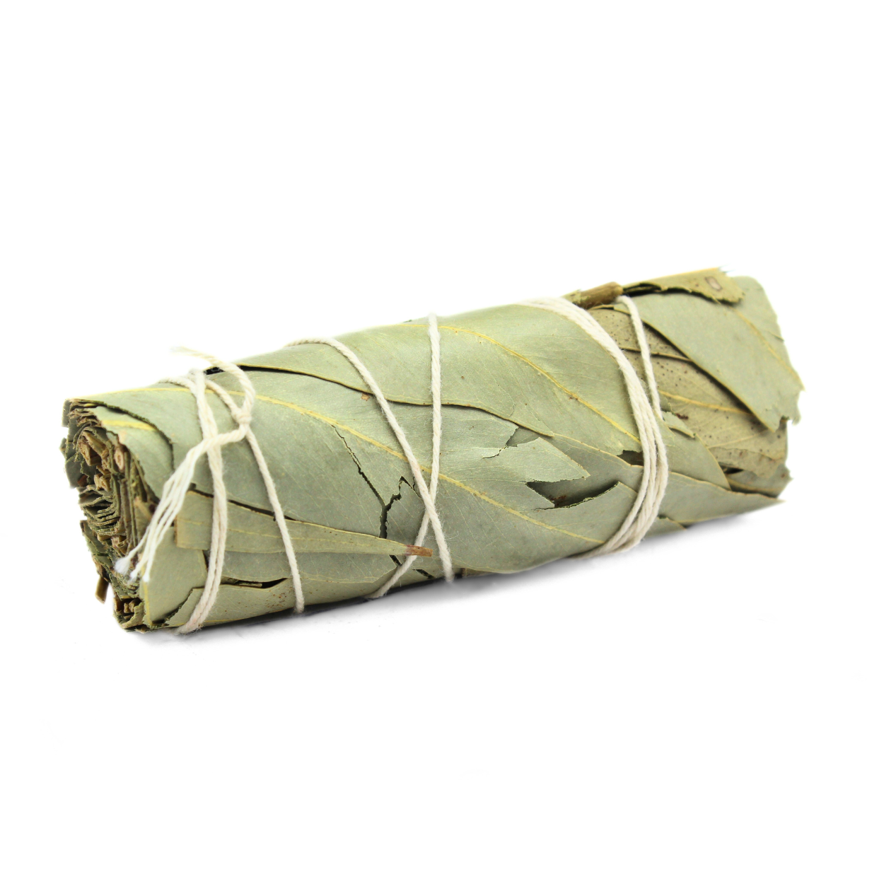 Eukalyptus-Salbei zur Tiefenreinigung 10 cm